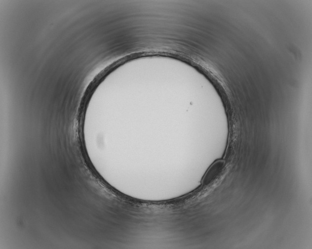 X0000113170928200910021519