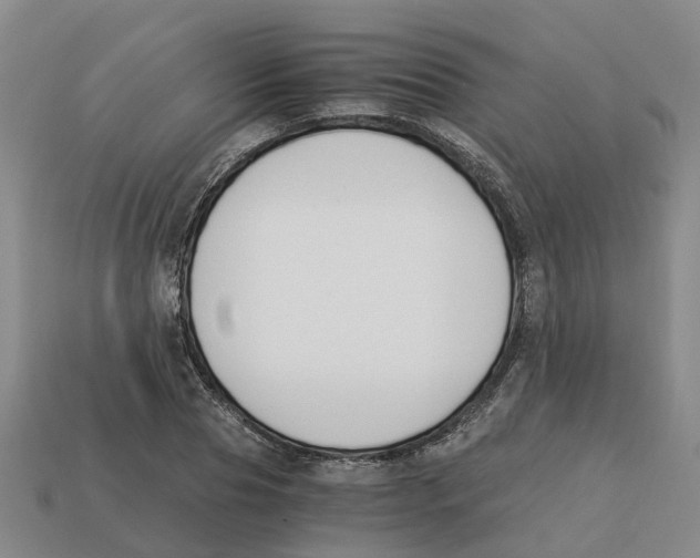 X0000113170929200910021519