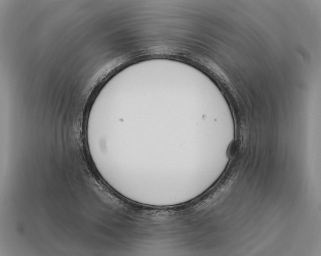X0000113170930200910021519
