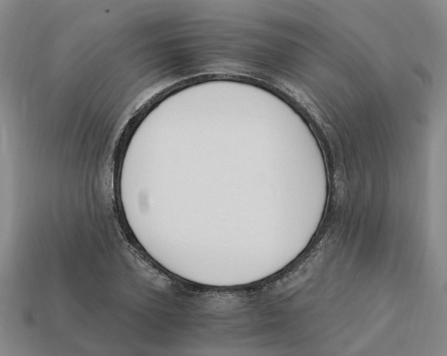 X0000113170931200910021519