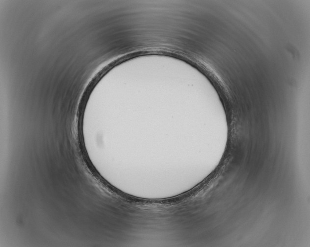X0000113170932200910021519