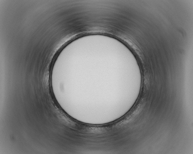 X0000113170933200910021519