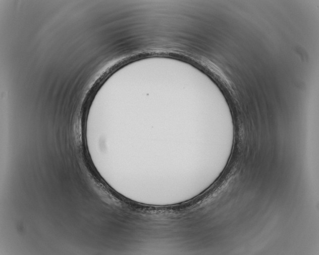 X0000113170934200910021519