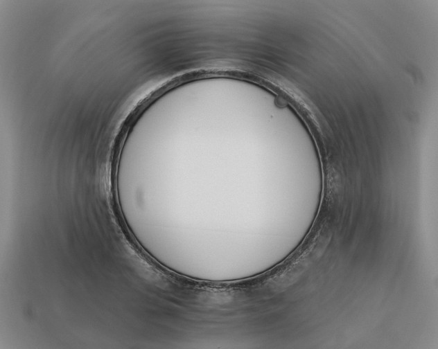 X0000113170935200910021519