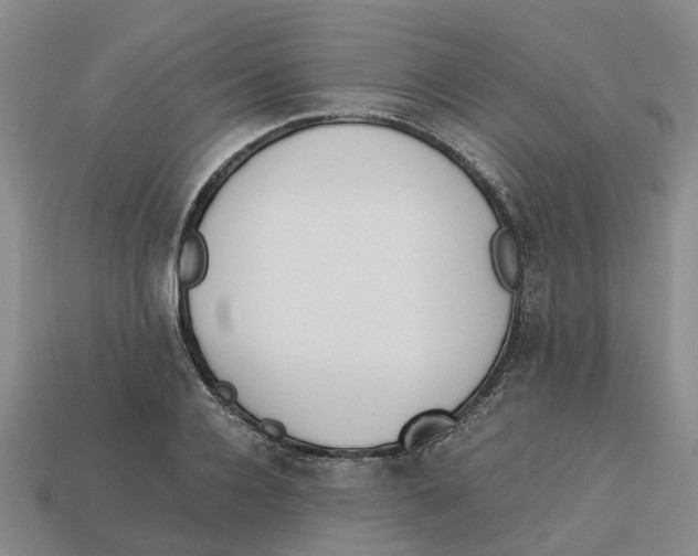 X0000113170936200910021519