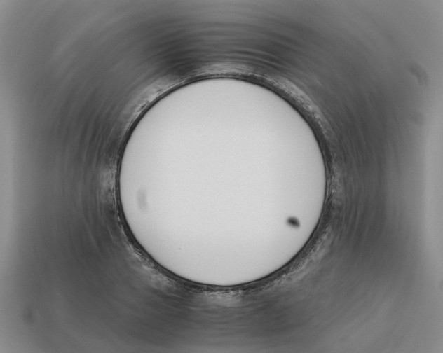 X0000113170937200910021519