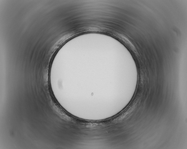 X0000113170938200910021519