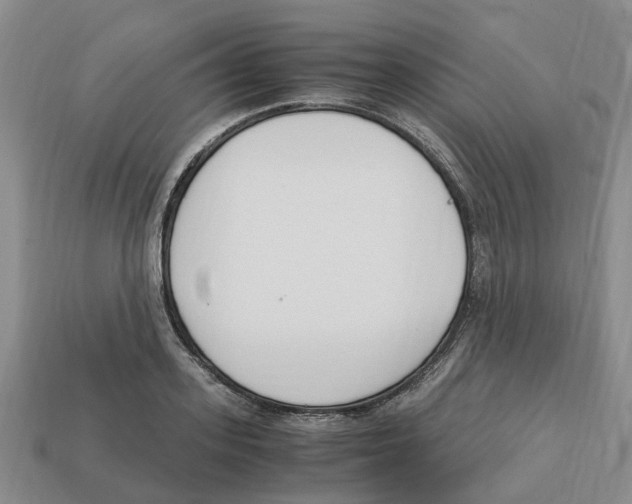 X0000113170939200910021519
