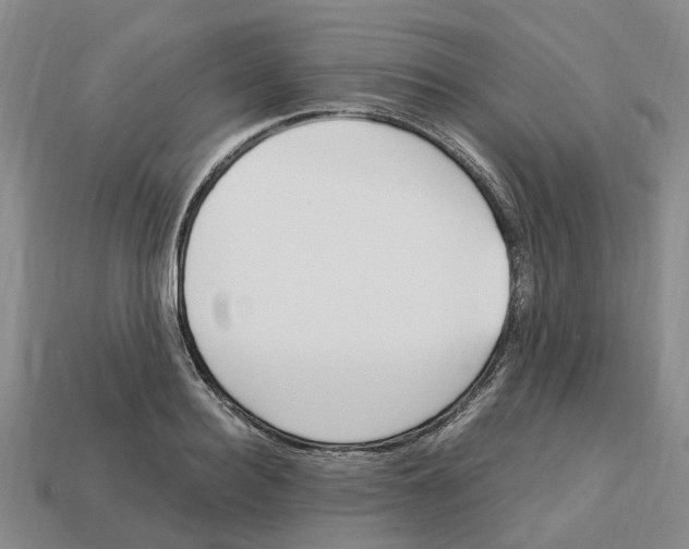 X0000113170940200910021519