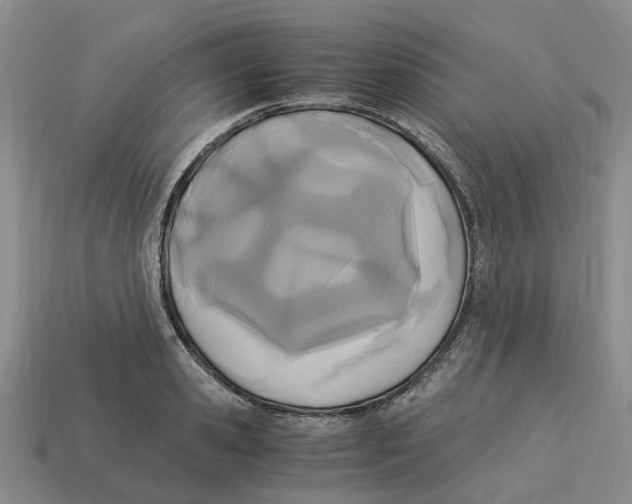 X0000113170941200910021519