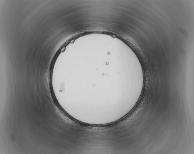 X0000113170942200910021519
