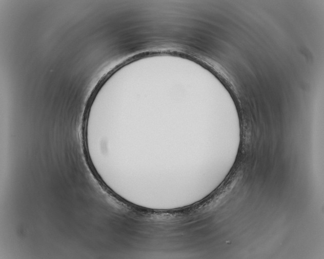 X0000113170943200910021519