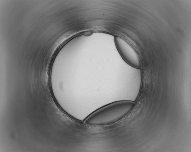 X0000113170944200910021519
