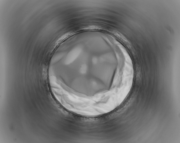 X0000113170945200910021519