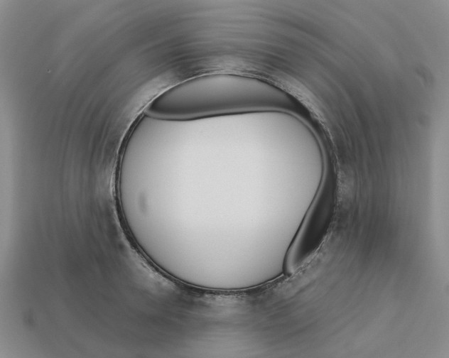 X0000113170946200910021519