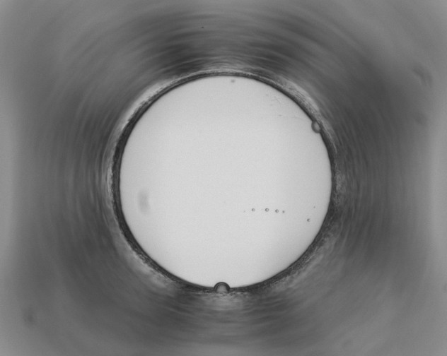 X0000113170947200910021519