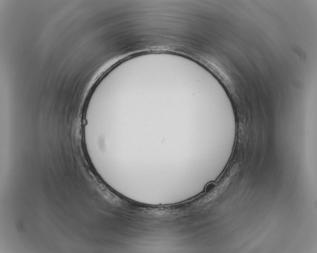 X0000113170948200910021519