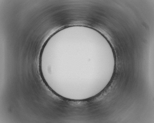 X0000113170949200910021519