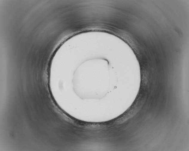 X0000113170950200910021519