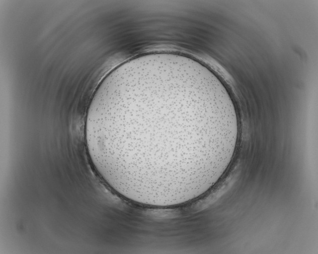 X0000113170953200910021519