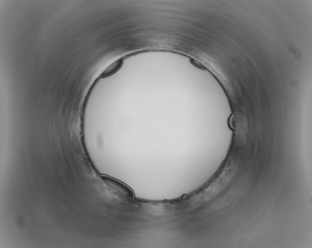 X0000113170956200910021520