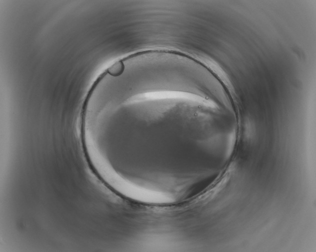 X0000113170958200910021520