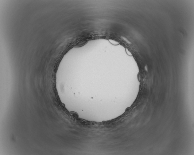 X0000113170961200910021519