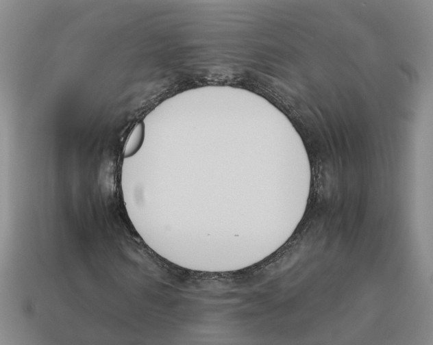 X0000113170962200910021519