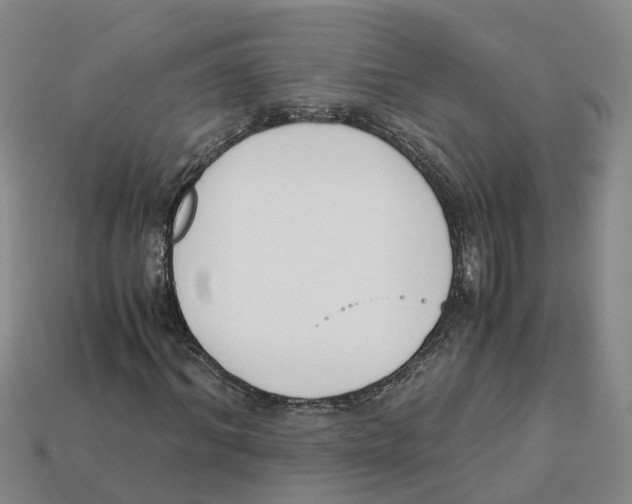 X0000113170964200910021519