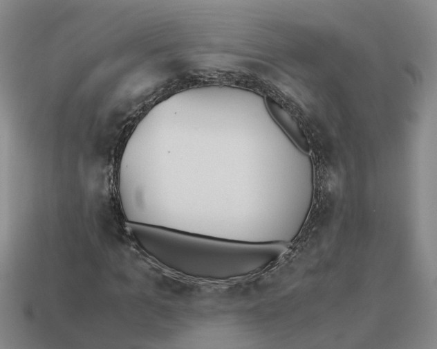X0000113170965200910021519