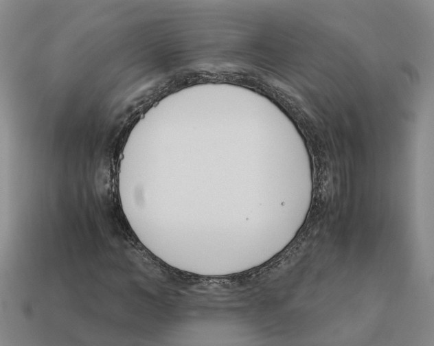 X0000113170966200910021519