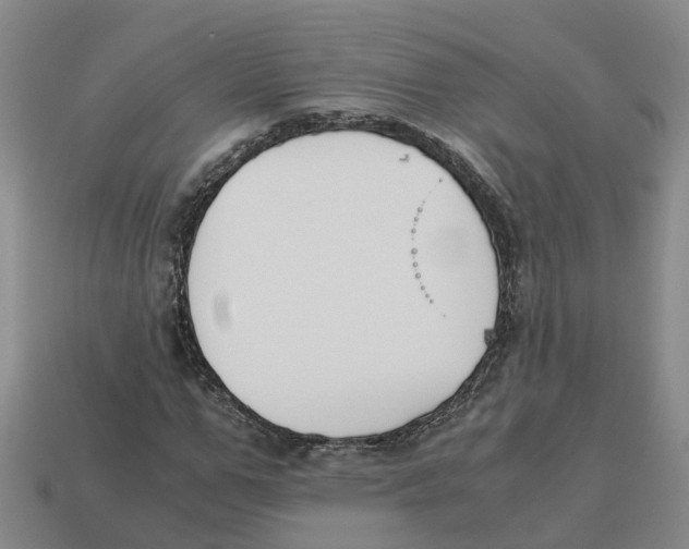 X0000113170967200910021519