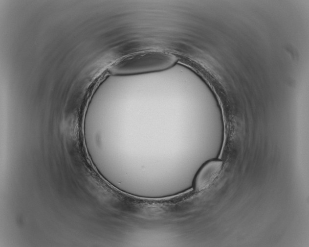 X0000113170969200910021519
