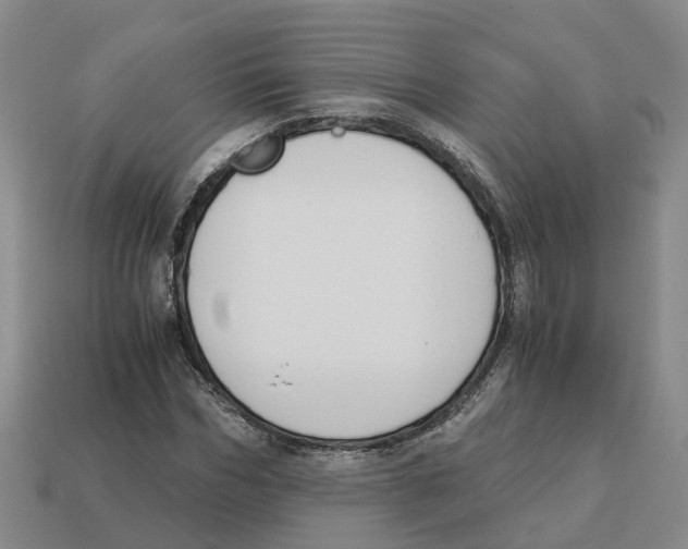 X0000113170970200910021519