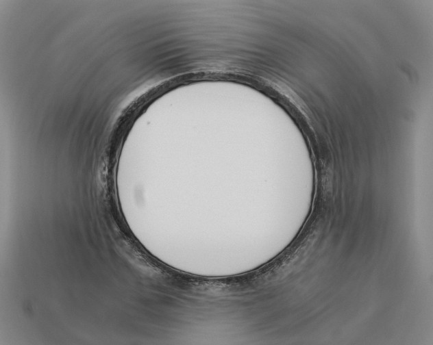 X0000113170971200910021519