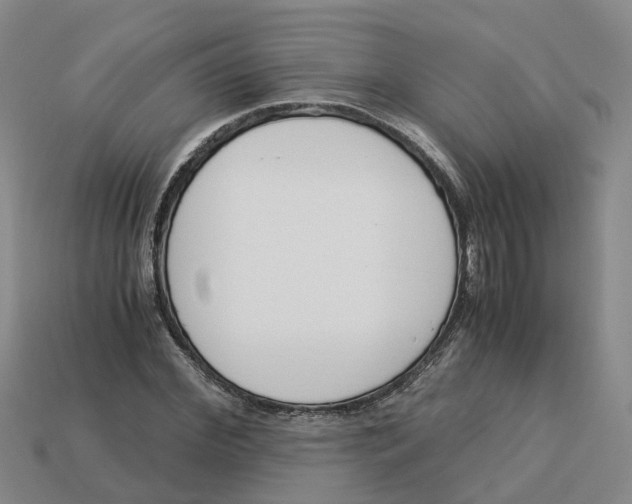 X0000113170972200910021519