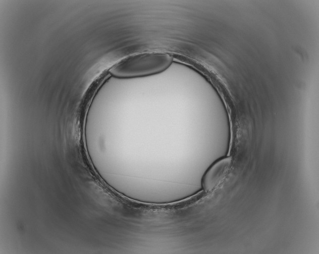 X0000113170973200910021519
