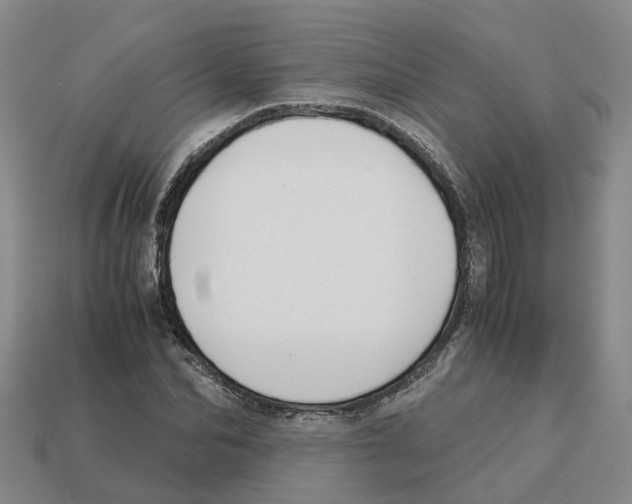 X0000113170974200910021519