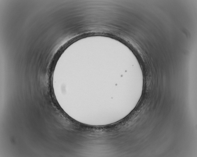 X0000113170975200910021519