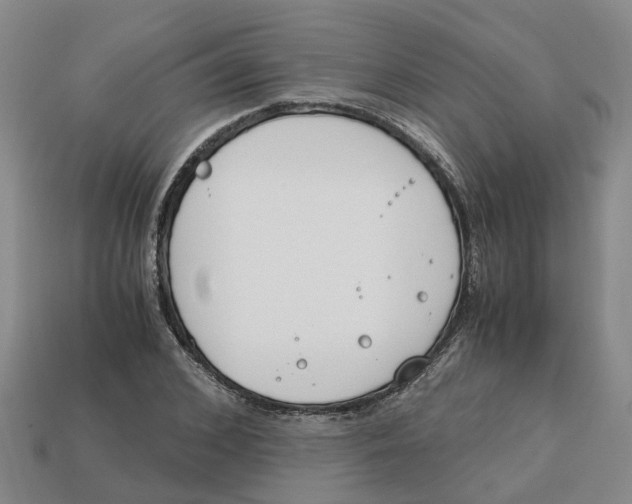 X0000113170976200910021519