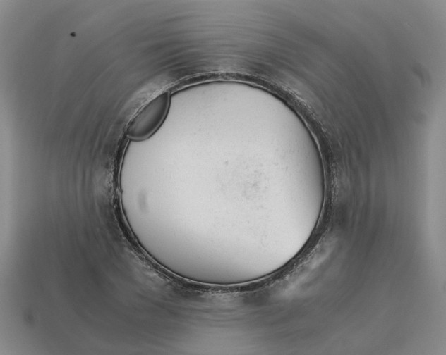 X0000113170977200910021519