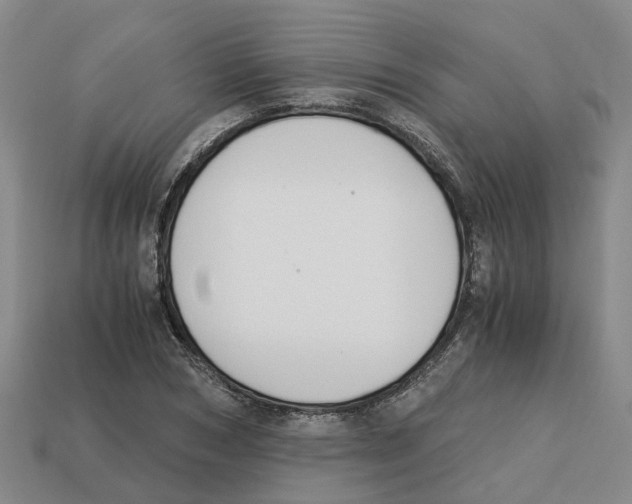 X0000113170978200910021519