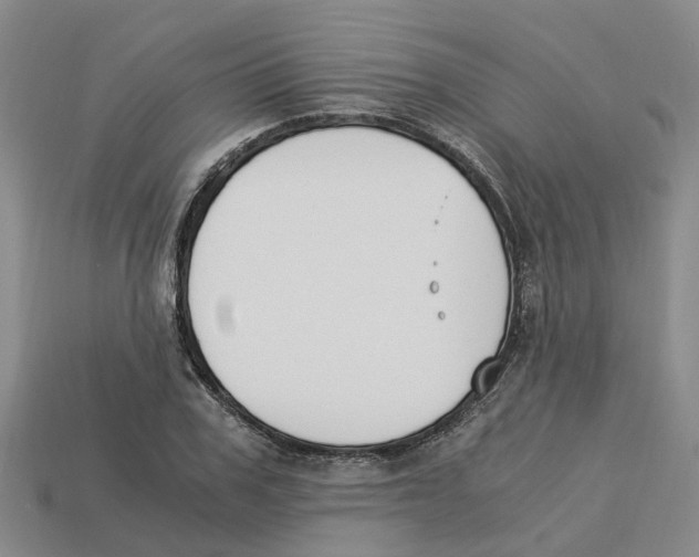 X0000113170979200910021519