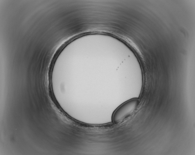 X0000113170980200910021519