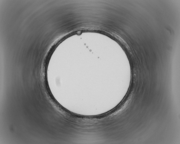 X0000113170981200910021519