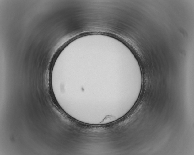 X0000113170982200910021519