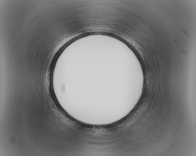 X0000113170983200910021519