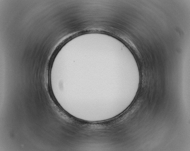 X0000113170984200910021519