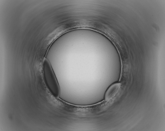 X0000113170985200910021519