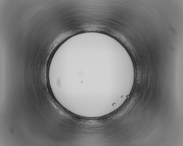 X0000113170986200910021519